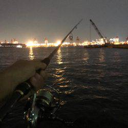 エリア10最強！