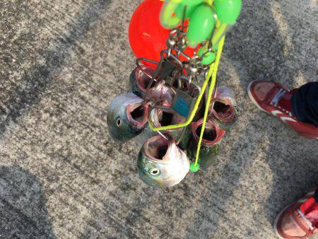 釣りって楽しいよねー