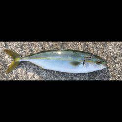 水が濁ってあたりが遠のき…