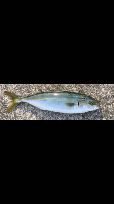 水が濁ってあたりが遠のき…