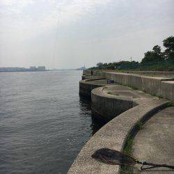 タコ一匹でした