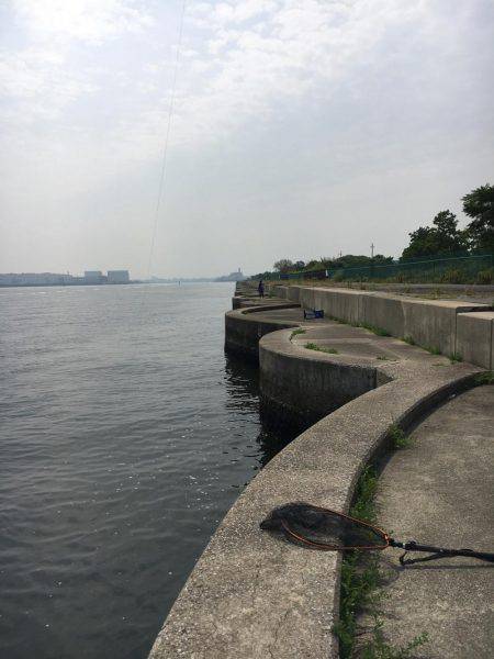 タコ一匹でした