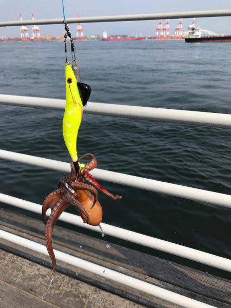 ツバス〜タコゲーム