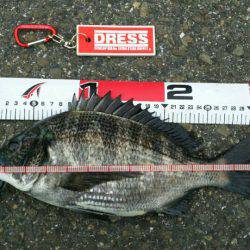 ジンクスは健在！