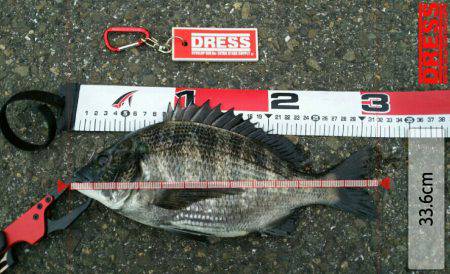 ジンクスは健在！