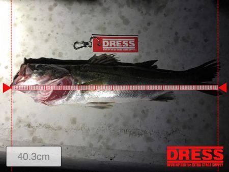 夜の三部テトラはちょいと危険