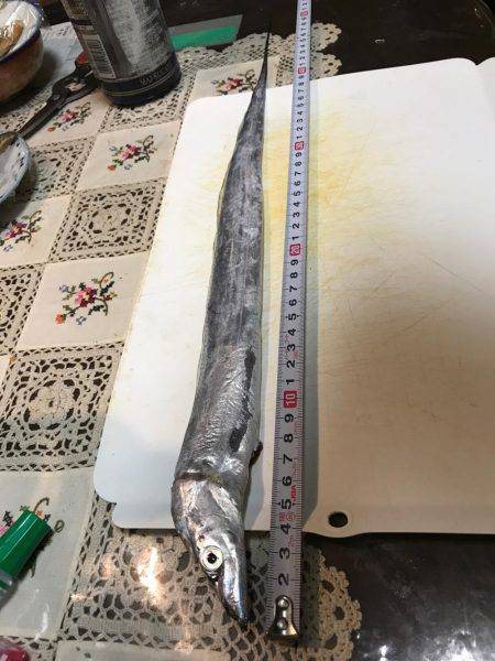 雨が降る前に…