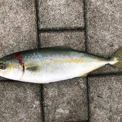 続ツバスゲーム