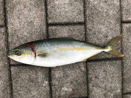 続ツバスゲーム