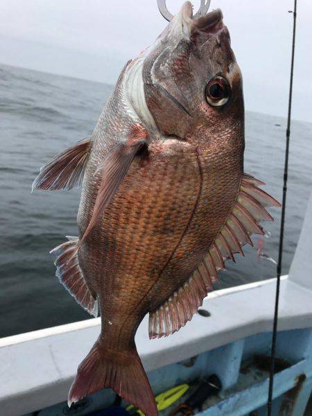 大原沖の一つテンヤ午後船