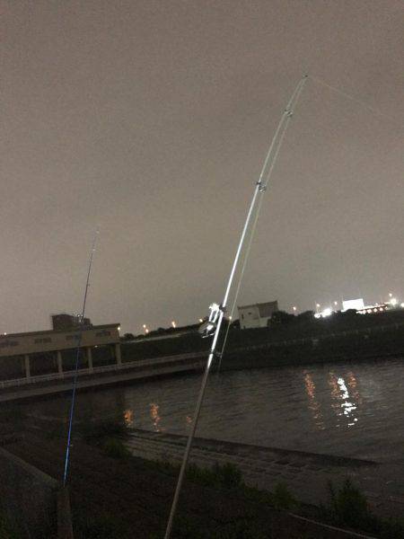 荒川でシーバス狙い