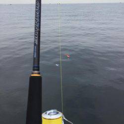 アタリはあるが、釣れない。。