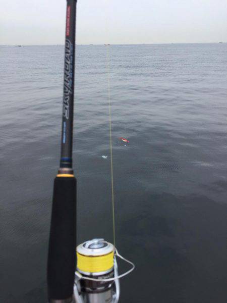 アタリはあるが、釣れない。。