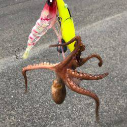 乗りわる〜ぅ。