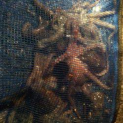 小雨の中行ってきました