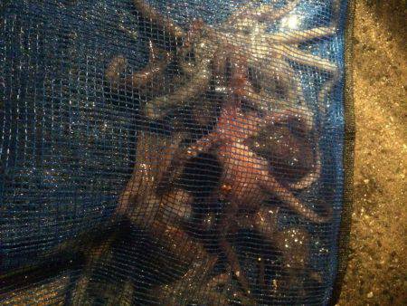 小雨の中行ってきました