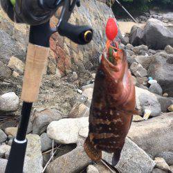 ロックフィッシング