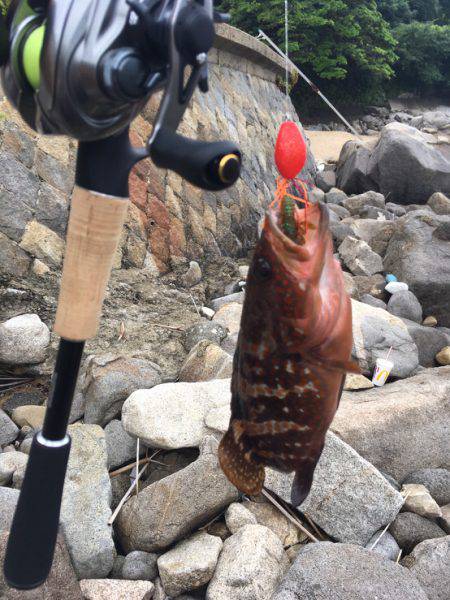 ロックフィッシング