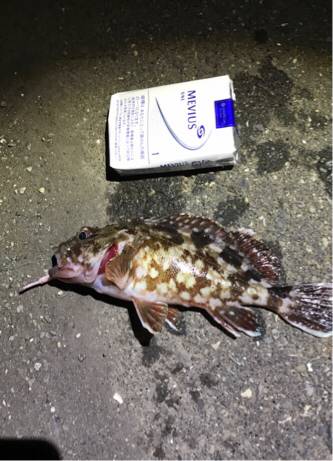 メバリング！！