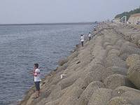 ロックフィッシュ