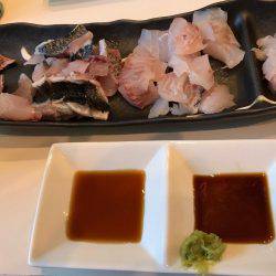 福井県越前海岸 地磯フカセ釣りグレ