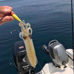 マイボートで昼間のイカメタルゲーム