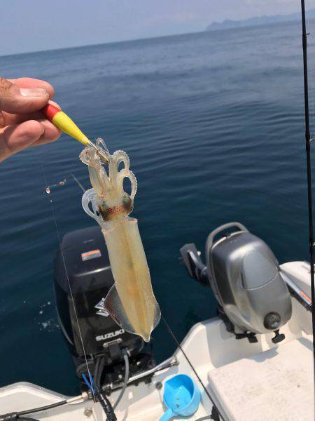 マイボートで昼間のイカメタルゲーム