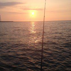 ロックフィッシュ