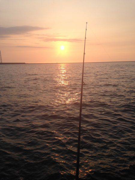 ロックフィッシュ