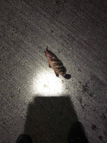 新潟遠征二日目