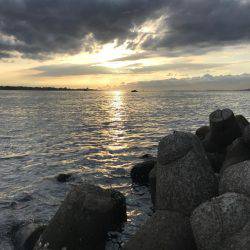 チョット成長したかな？