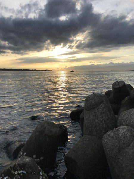 チョット成長したかな？