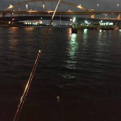 やっとつれたでー！