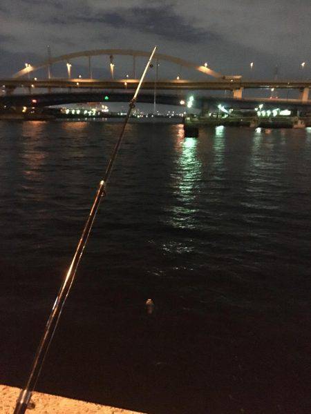 やっとつれたでー！