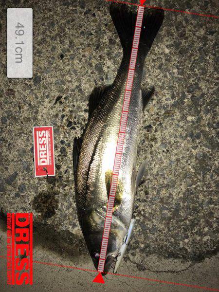 表層バチパターン