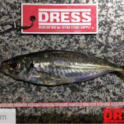 先月と比較してアタリ激減…