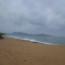 荒れ後のキスはやはり低活性