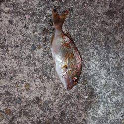 気持ち良かった～