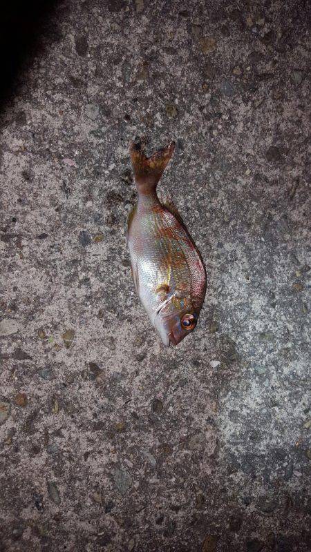 気持ち良かった～