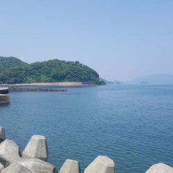 マーメイド浜エギング