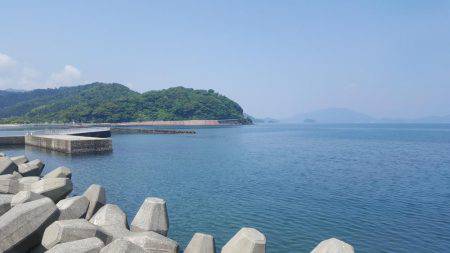 マーメイド浜エギング