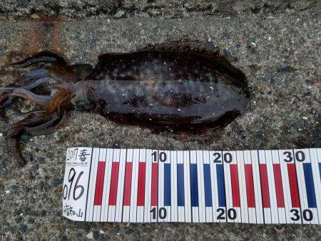 シーズン終盤戦