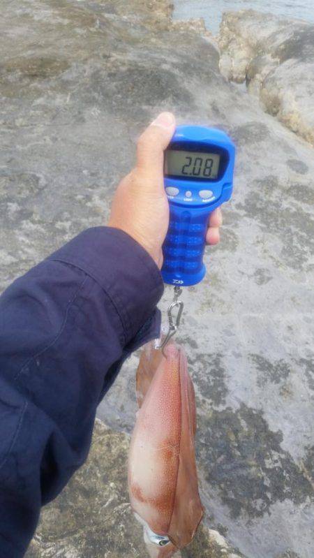 レッドモンスター