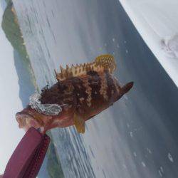 ボートエギング、ボートロック