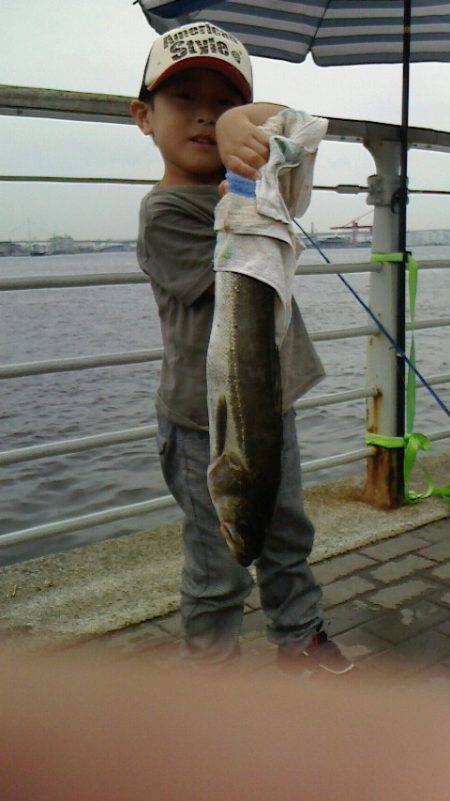 思わぬゲストにびっくり