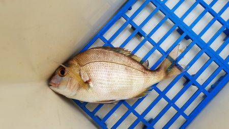 久しぶりの釣り