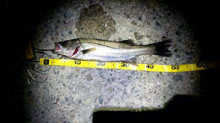 少し小さいけど釣れて良かった