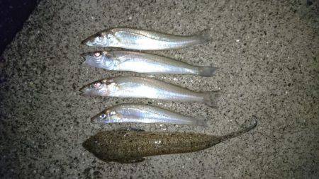 ちょい投げのキス