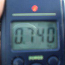 今日もタコ絶好調