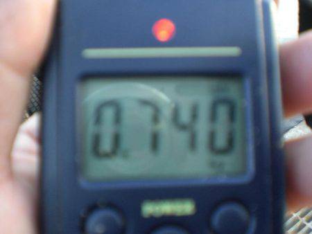 今日もタコ絶好調